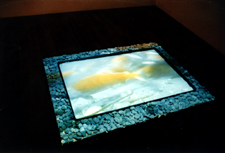 Quantum-Realities-1