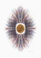 Canticle to the Sun II